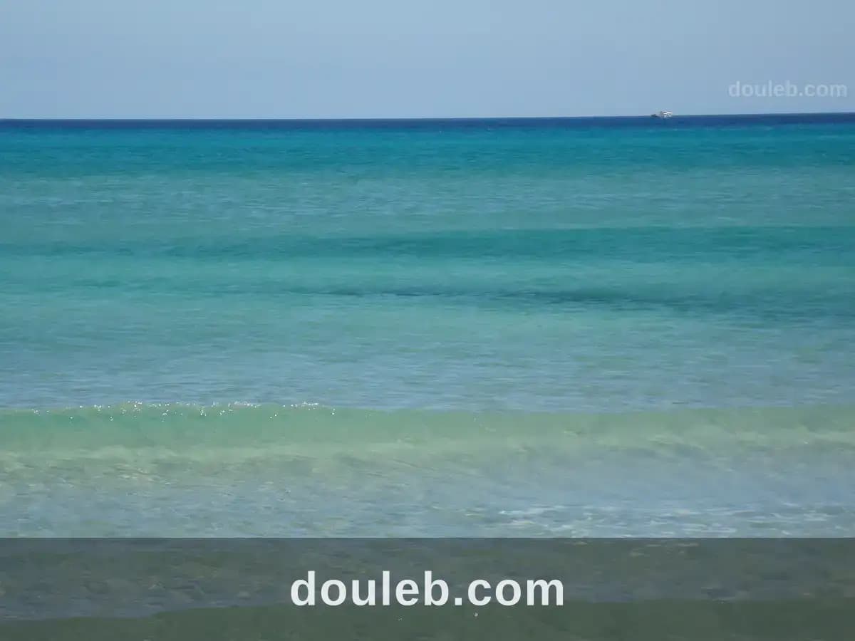 Terrain de 5 hectare au bord de la mer à Nabeul