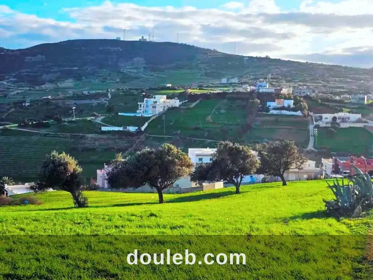 Terrain 800 m2 a rafraf à Bizerte