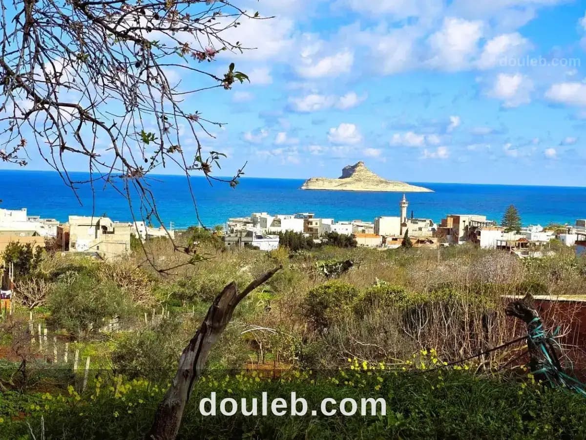 Terrain 1060 m2 rafraf plage lahmeri à Bizerte