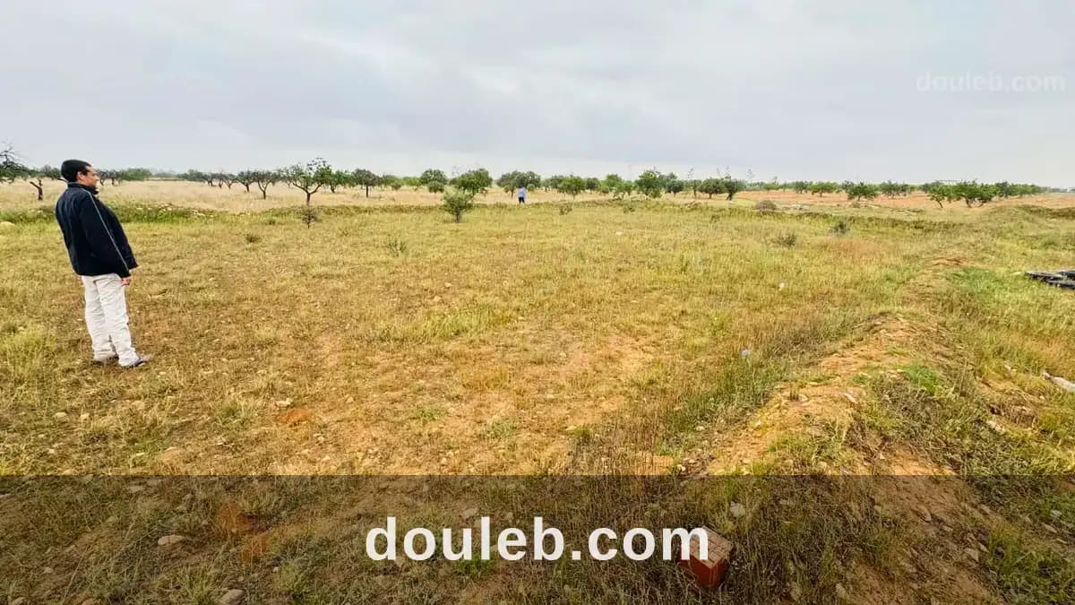 Terrain négociable à Sfax