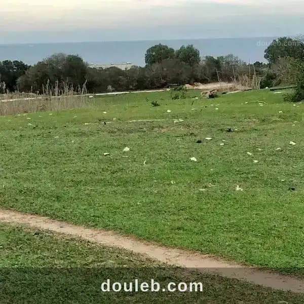 4000m2 seulement a 70000 dt à Nabeul