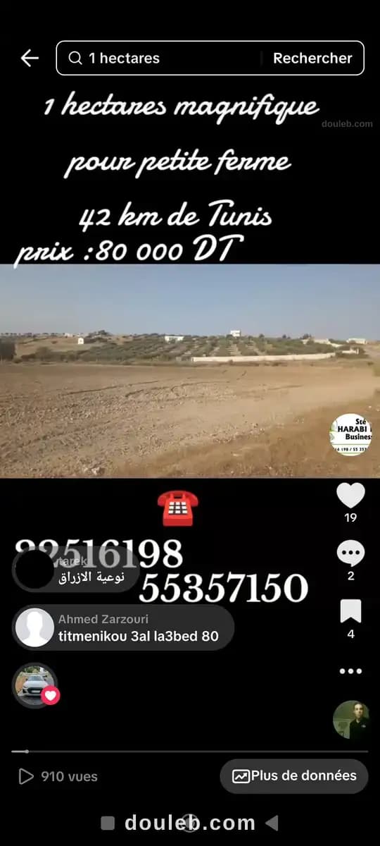 Excellent emplacement pour petite ferme à Zaghouan