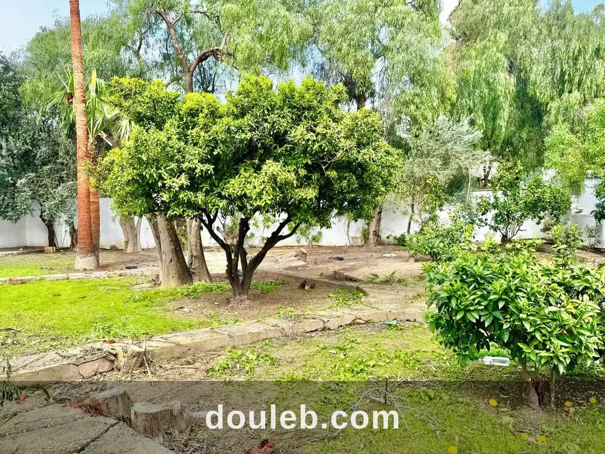 A usage bureautique une villa s4 avec jardin à Tunis