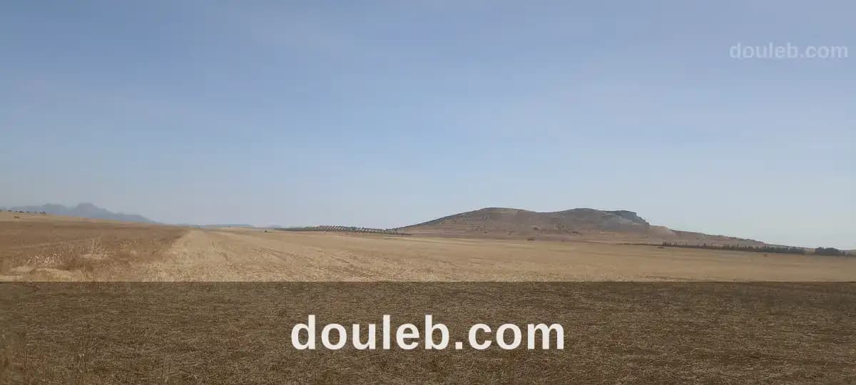 8 hectares nu excellente nappe phréatique à Zaghouan