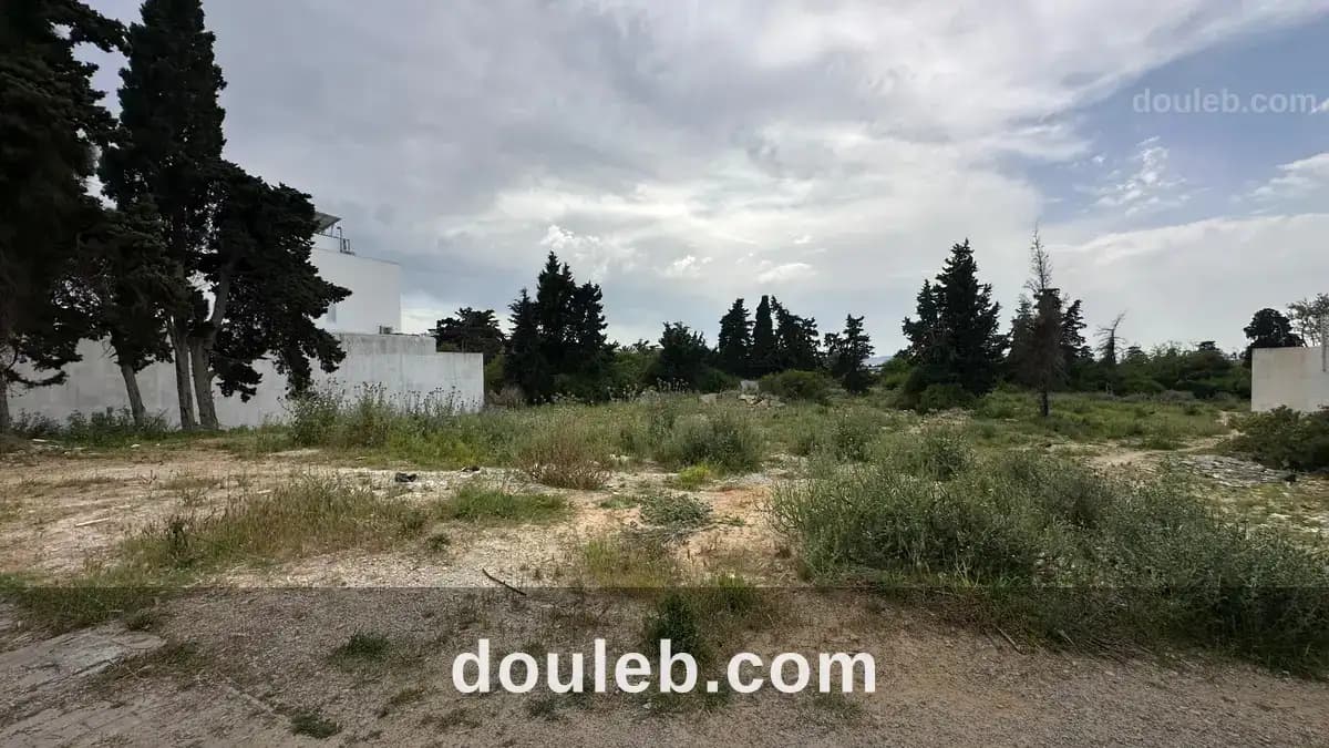 Terrain 1700 md gammarth à Tunis