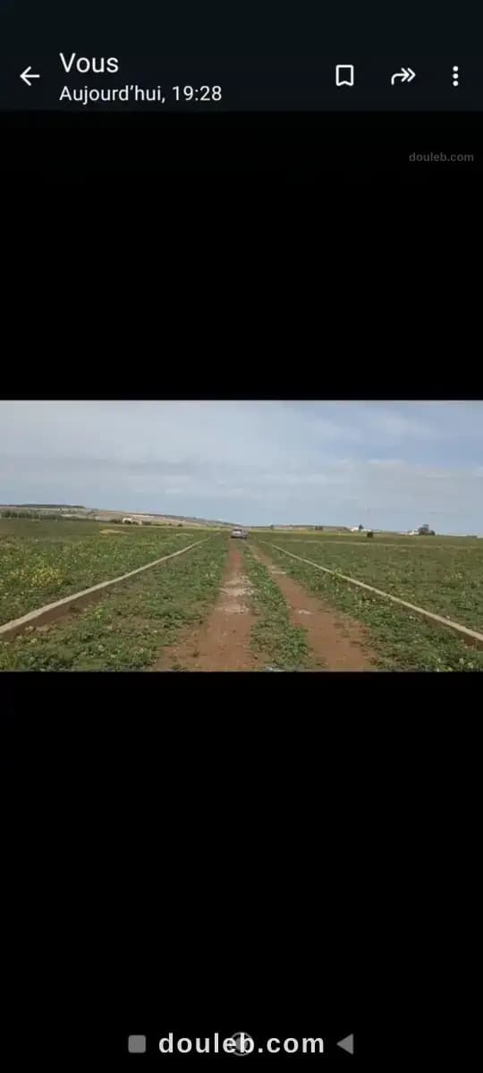 Des parcelles agricoles a usage résidentiel à Zaghouan