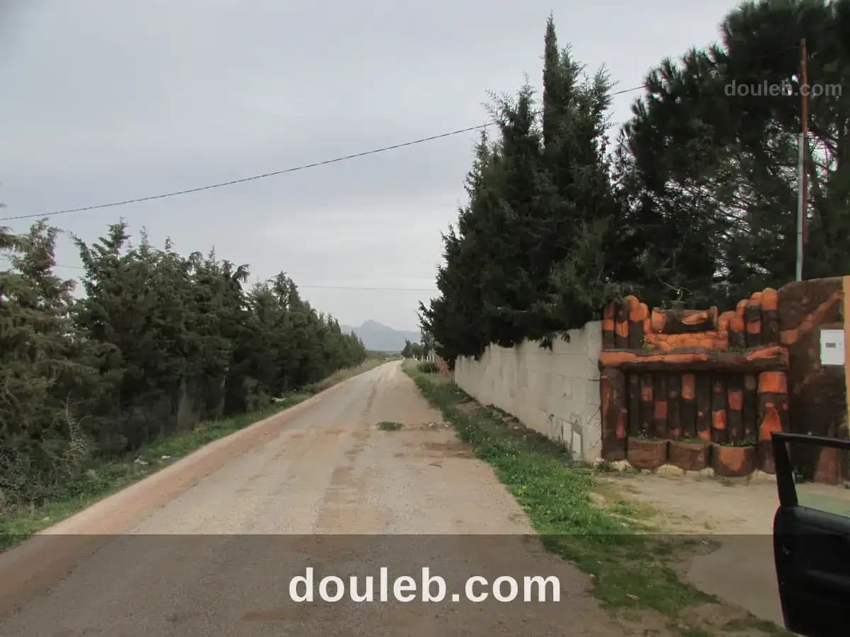 Belle ferme 7 hectares productive à Zaghouan