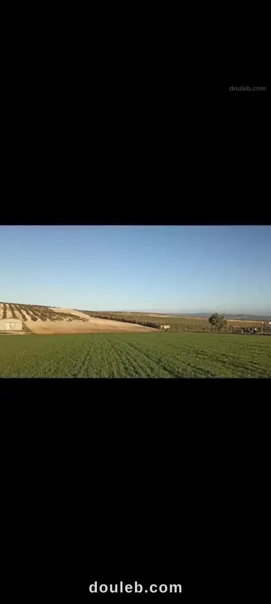 2 hectares pour une petite ferme - Miniature 3