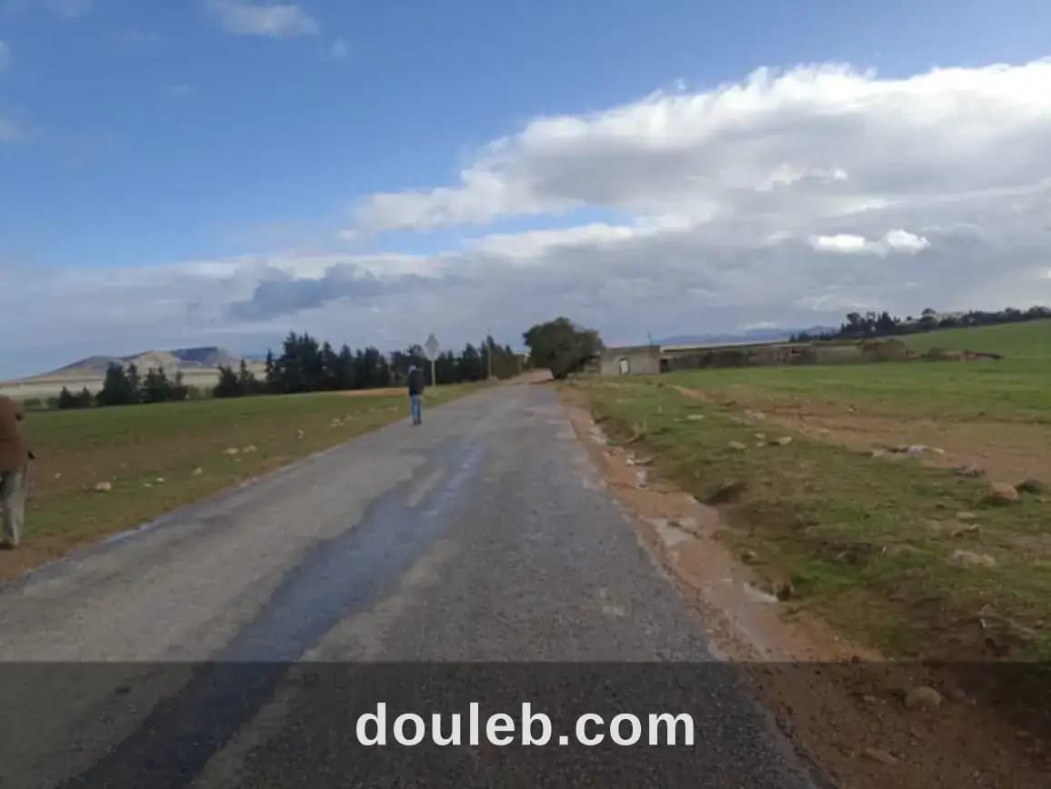 30 hectares propices a tous les arbres fruitiers à Zaghouan