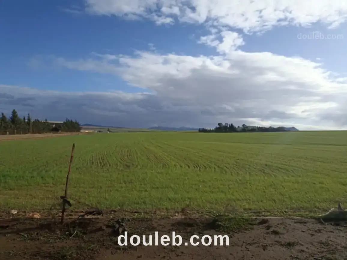 30 hectares propices a tous les arbres fruitiers - Miniature 2