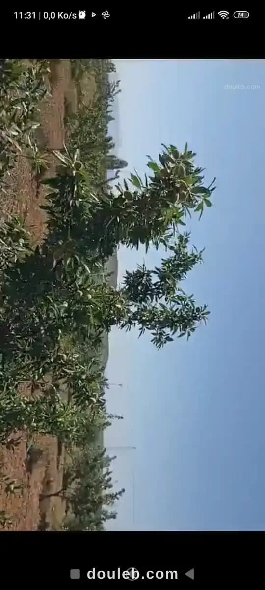 Ferme 6hectares et 5000m2 à Zaghouan