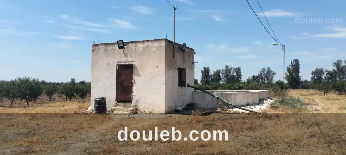 11hectares grenadiers et d'oliviers - Miniature 2