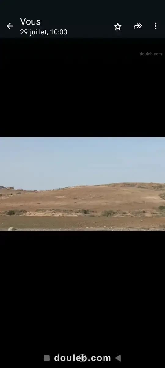 2 ou 4 hectares plus a mohamadia - Miniature 2