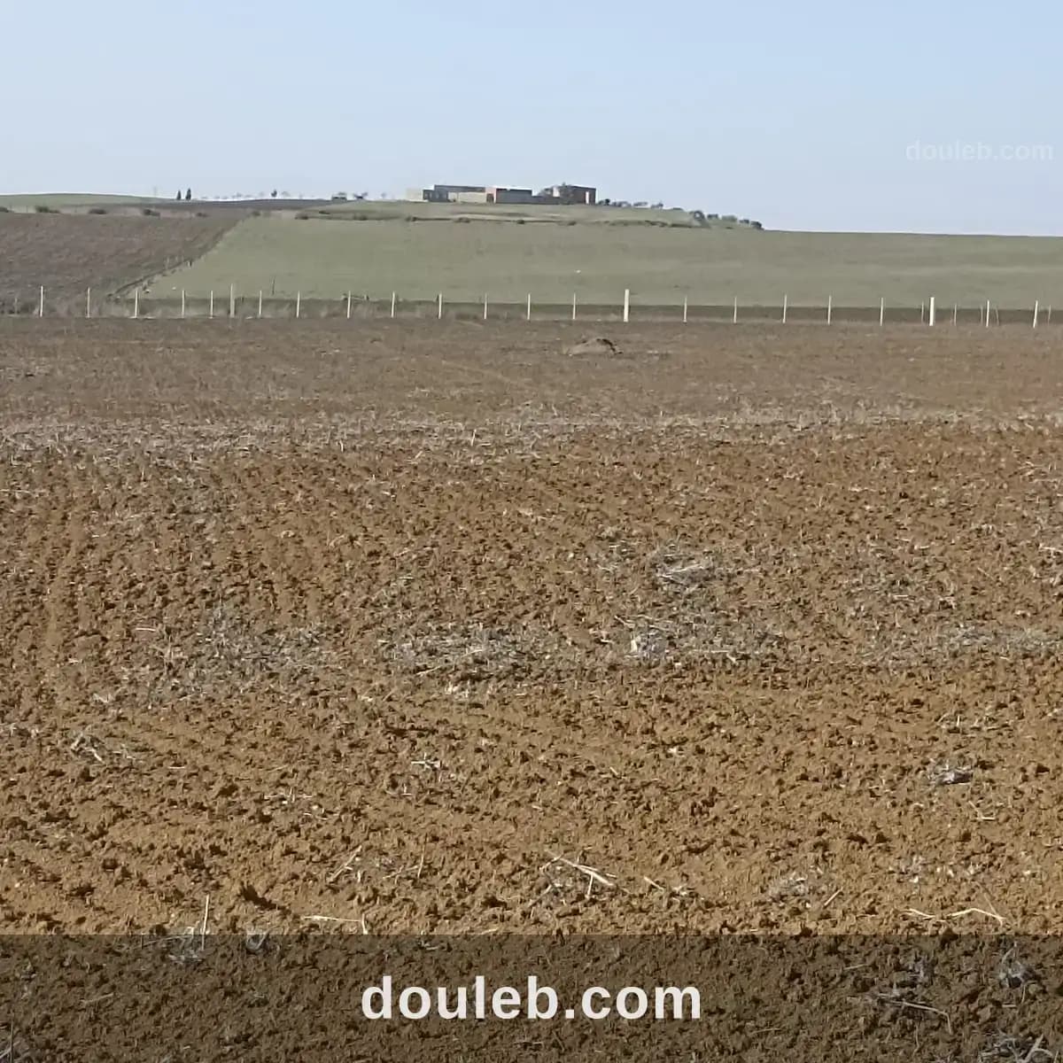 Ferme 7 hectares 32km de tunis - Miniature 5