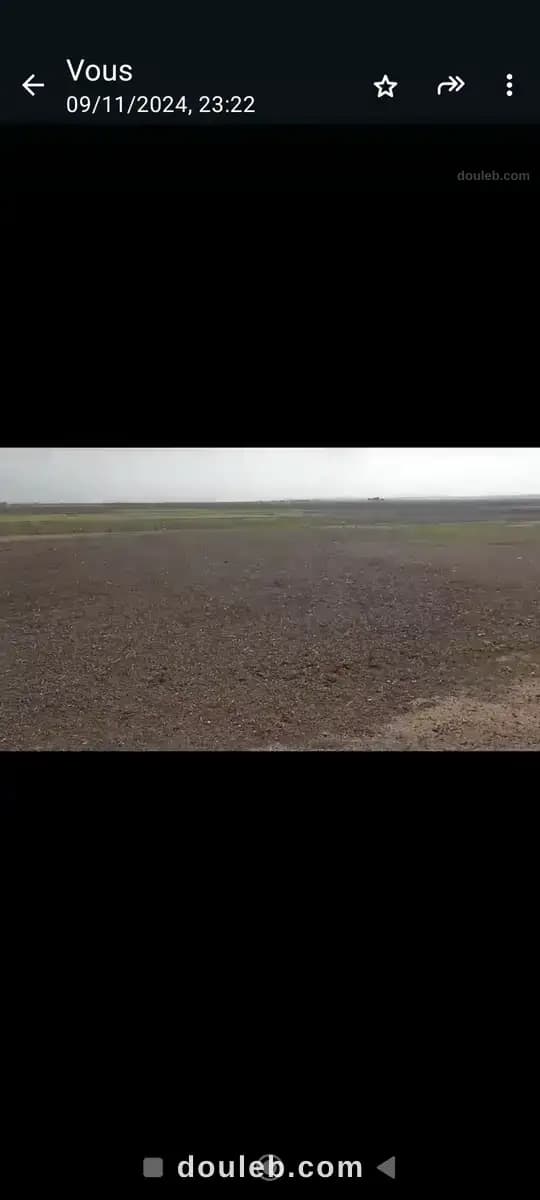 15 hectares nu a al fajjah - Miniature 4
