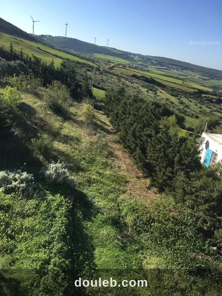 Occasion à ne pas rater à Bizerte