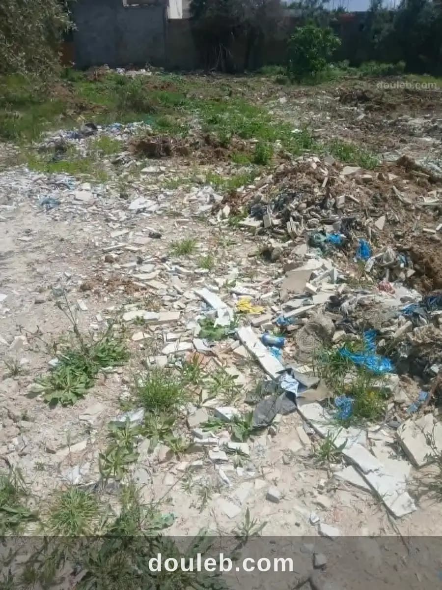 Terrain pour affaire à Ben Arous