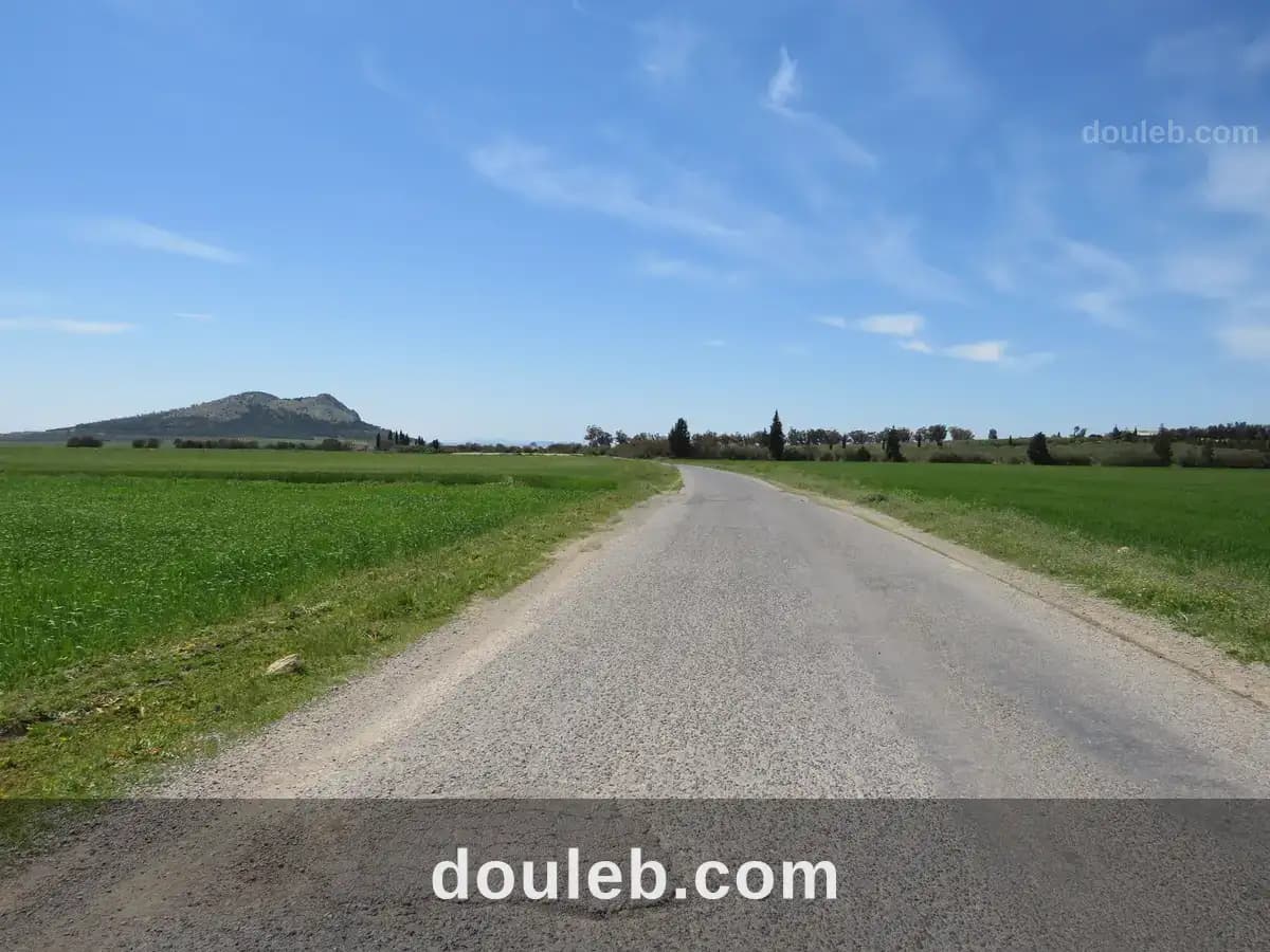 22 hectare terrain plat et fertile - Miniature 4