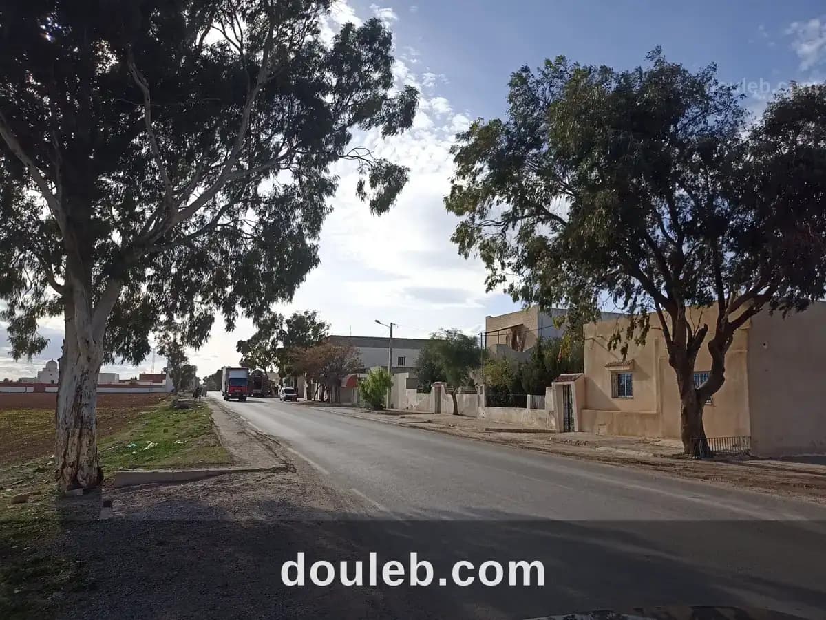14 hectares a 33 km de tunis à Zaghouan