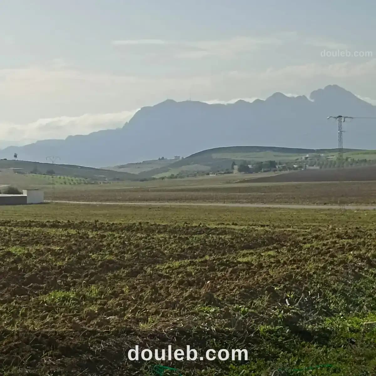 2 hectares 3000m2 à 32km de tunis - Miniature 4