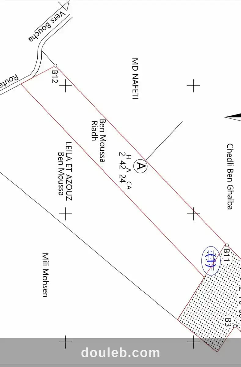 2 hectares sur la route goudronnée à 48km de tunis à Zaghouan