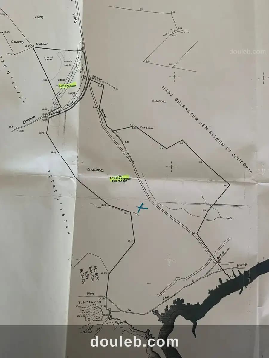 67 hectare sur la route nationale gp3 à Zaghouan