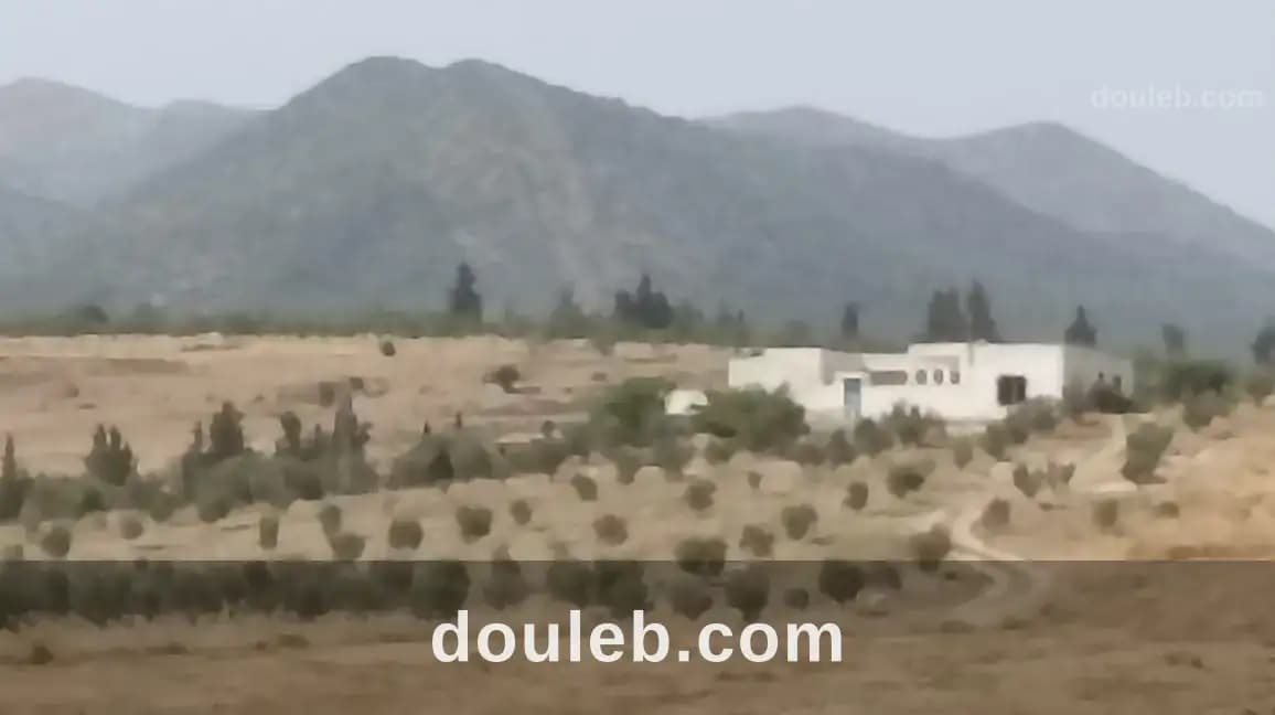 Ferme 5 hectares 700 oliviers à Zaghouan