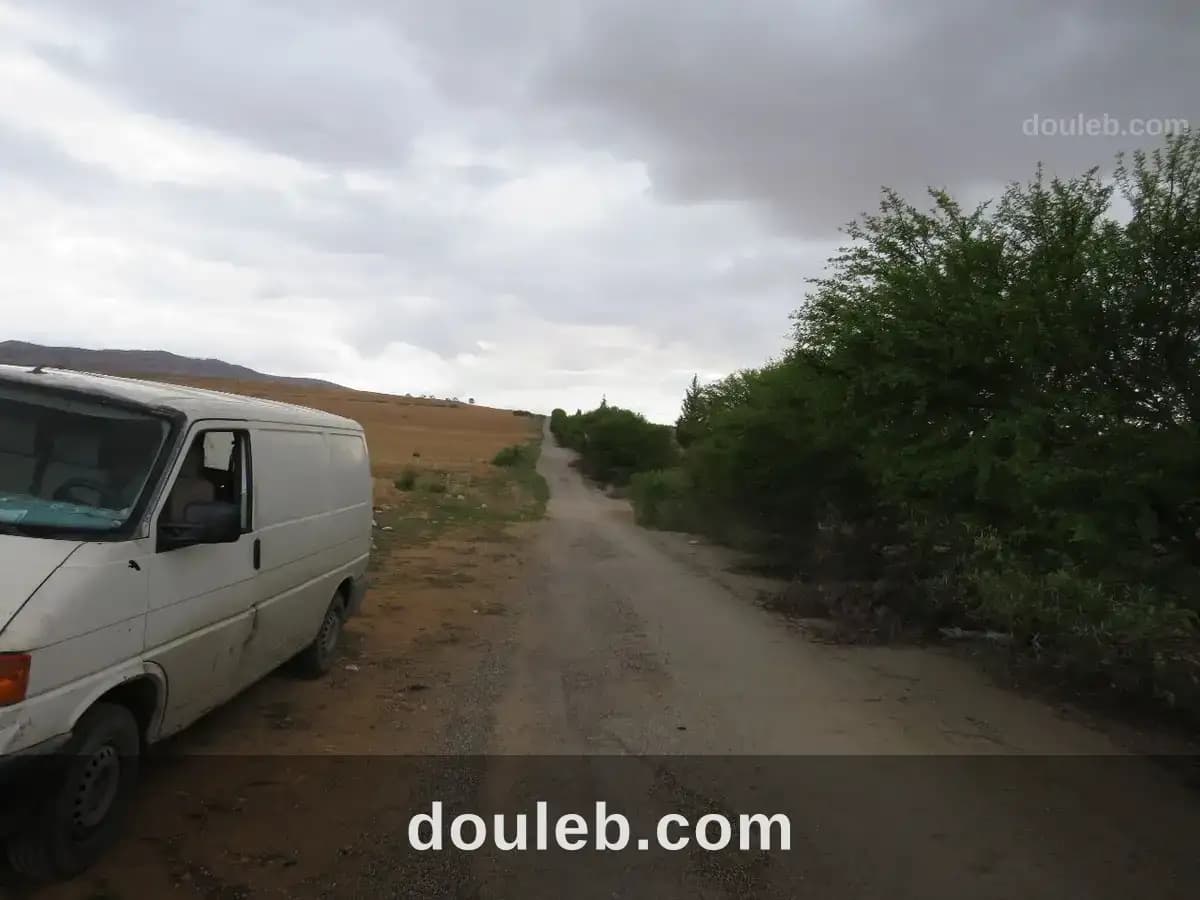 29 hectares à côté de l'autoroute à Zaghouan