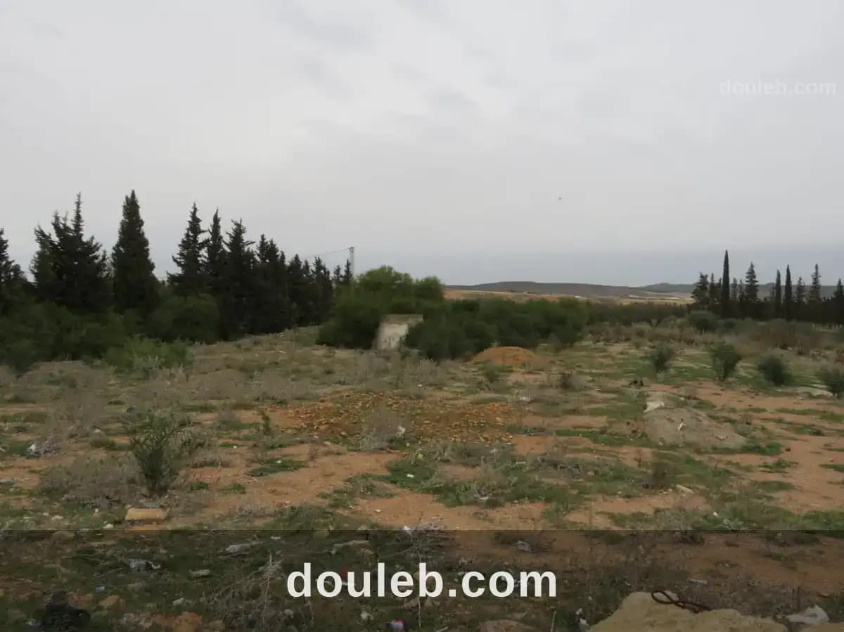 Magnifique 6936 m2 zaghouan - Miniature 2