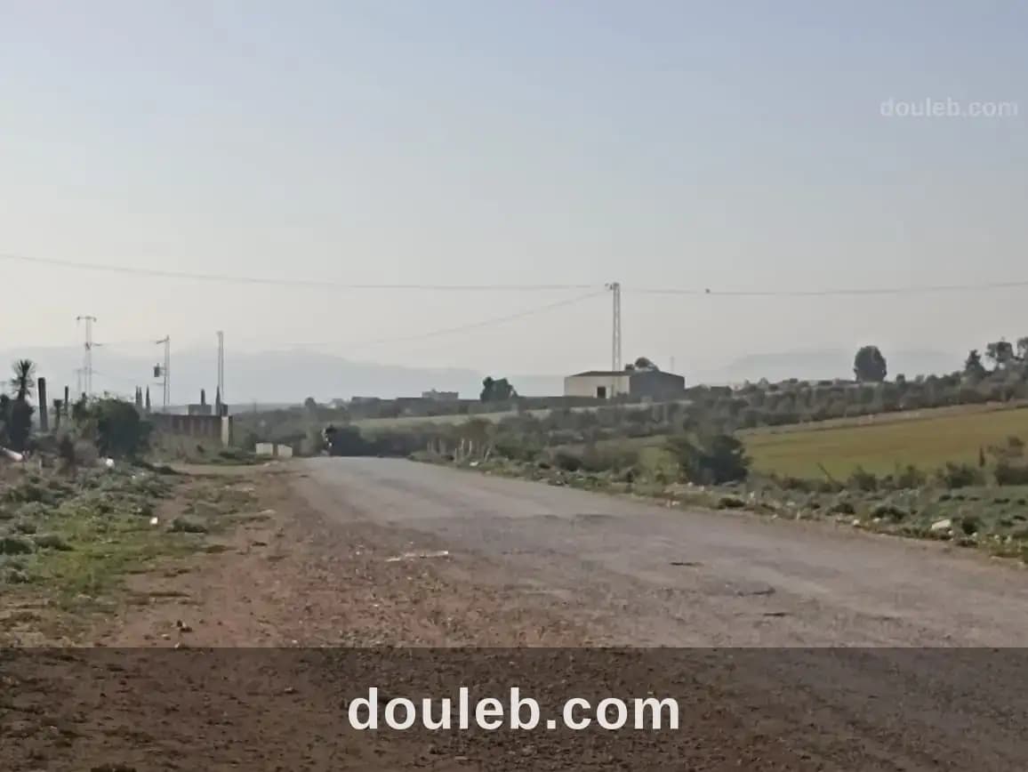 5 hectare 1h oliviers 4h nu à Zaghouan