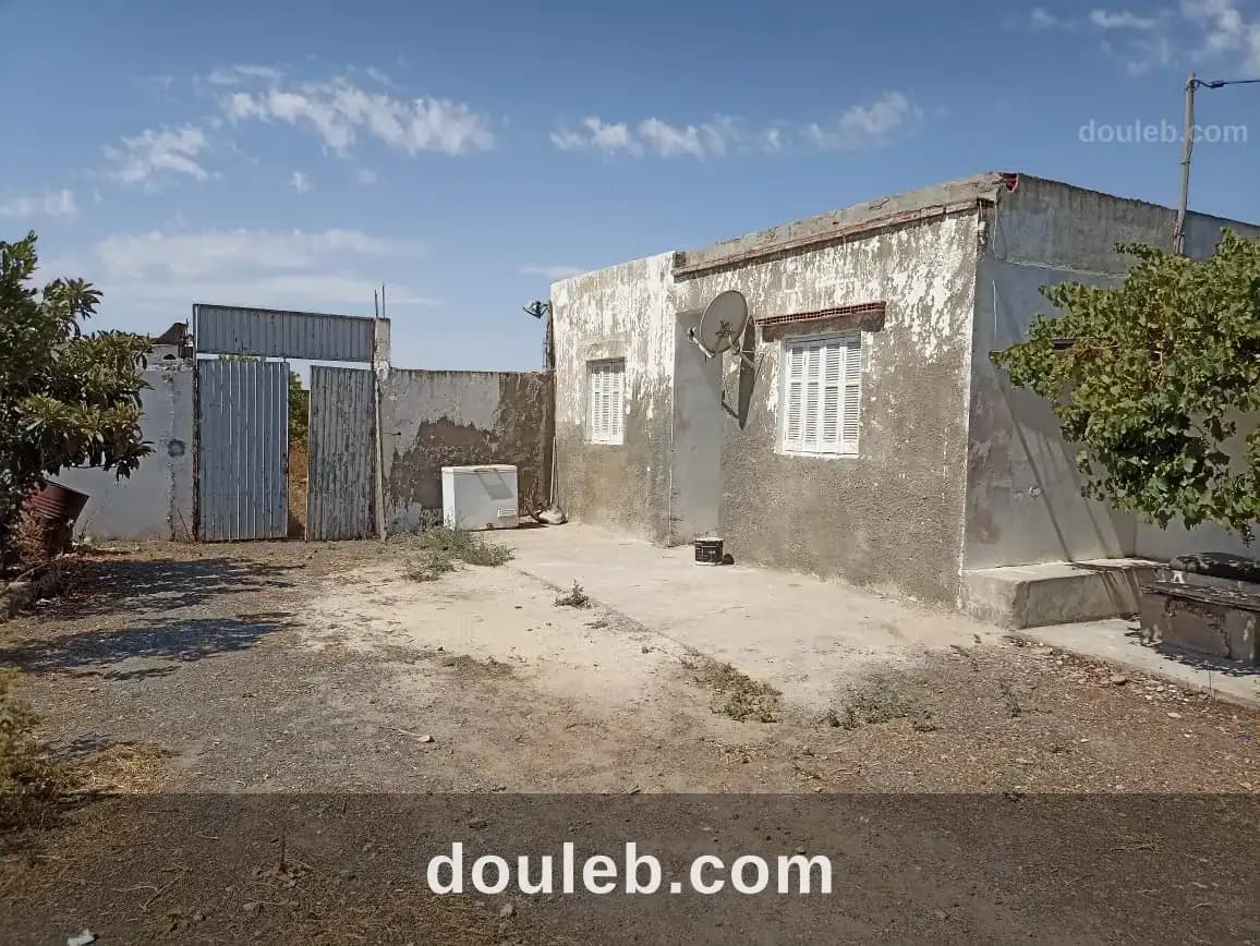 Petite ferme 47km de tunis à Zaghouan