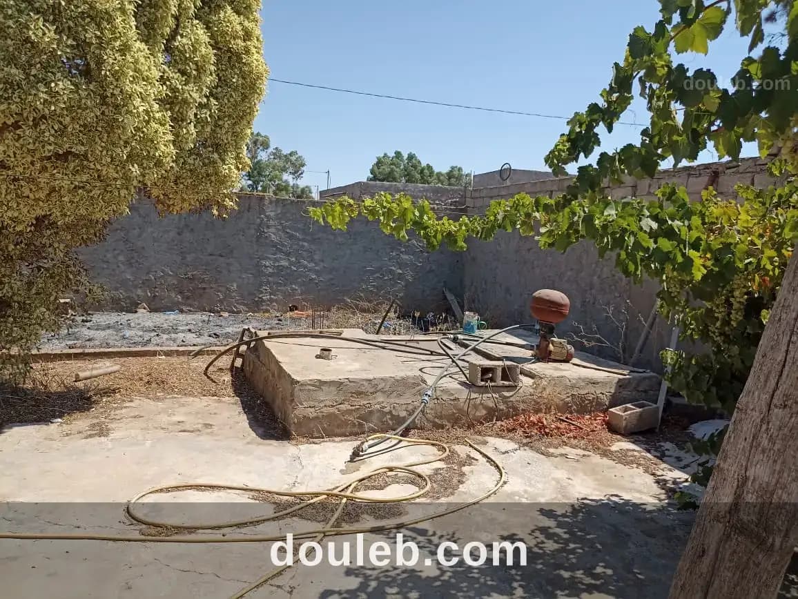 Petite ferme 47km de tunis - Miniature 4