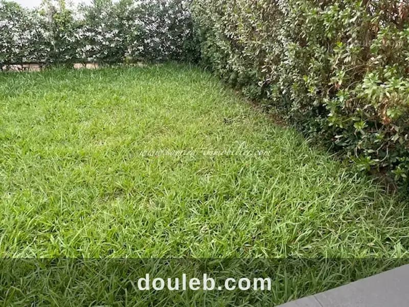 Appartement myriem à Nabeul