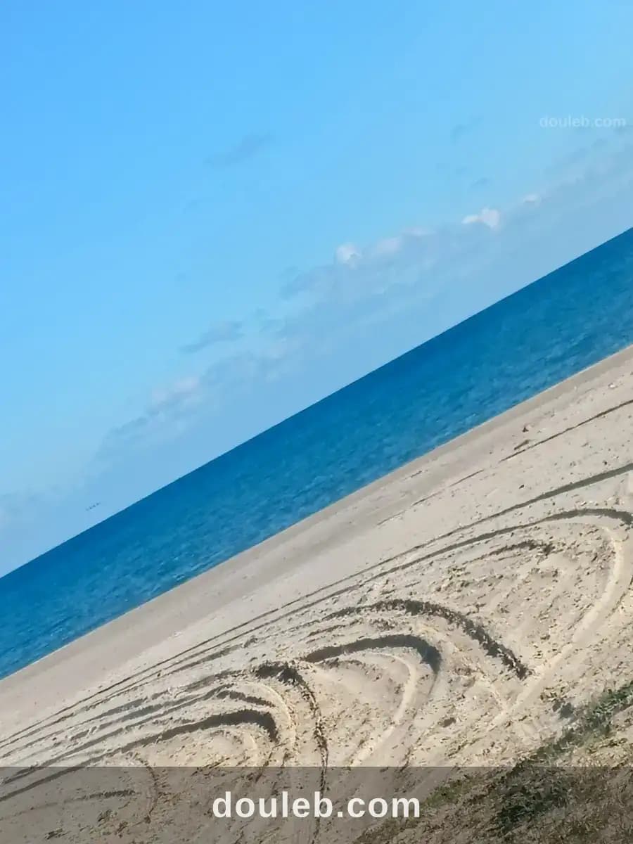 Terrain haouaria plage sud - Miniature 2