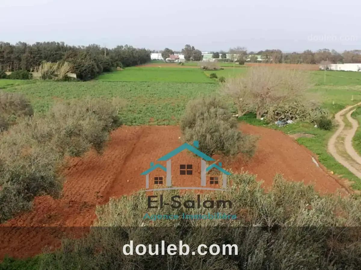 12700m2 avec deux maisons garage à Nabeul