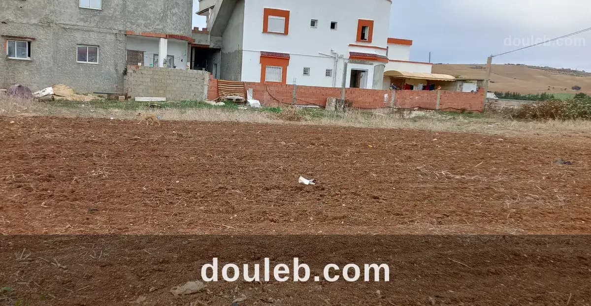 Offre a ne pas rater à Bizerte