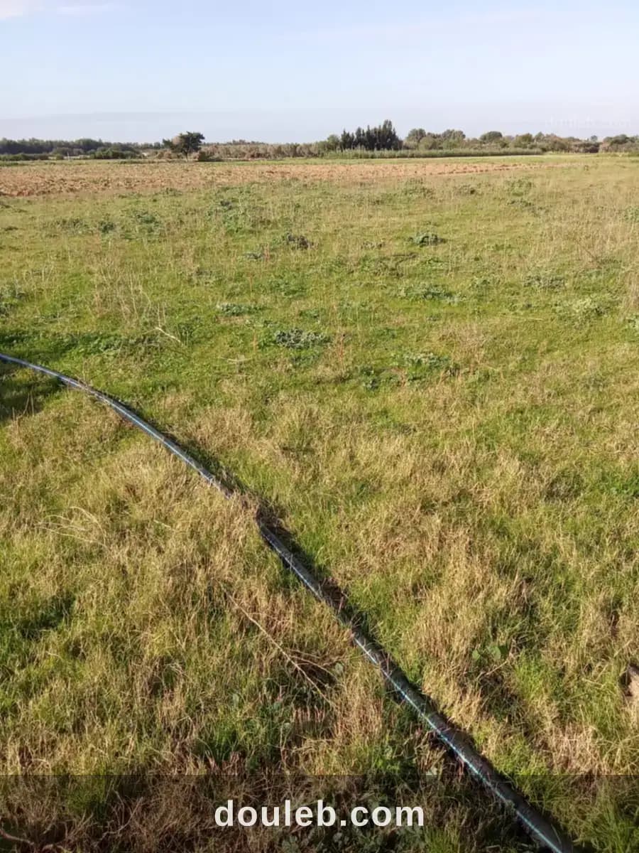 3000m2 opportunité prix80000 dt à Nabeul