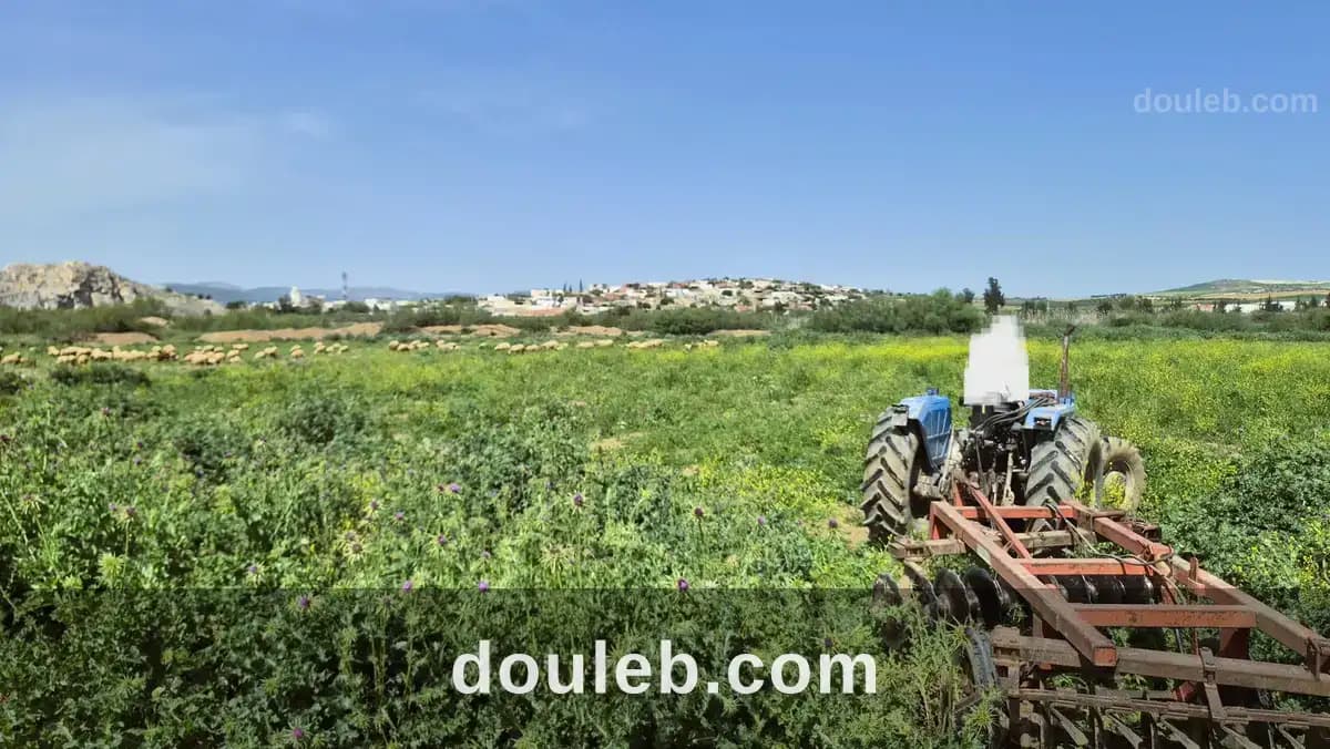 Terrain agricole à medjez el bab à Béja