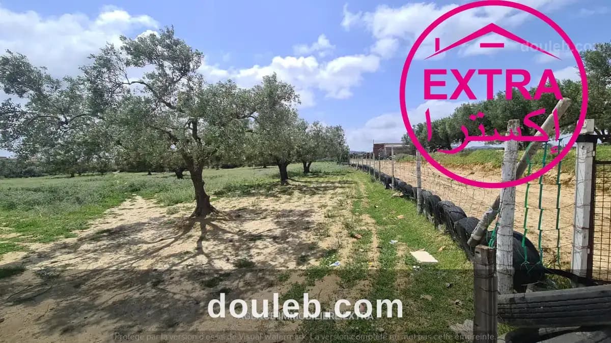 Campagne a nabeul à Nabeul