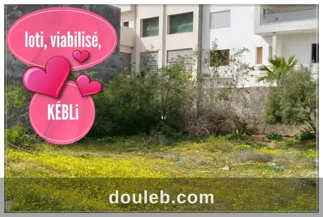Loti viabilisé kébli 296m à Nabeul