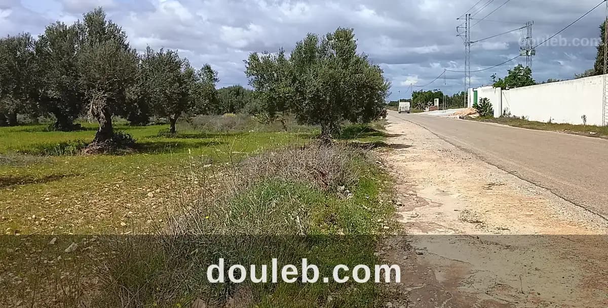 Super terrain à Monastir