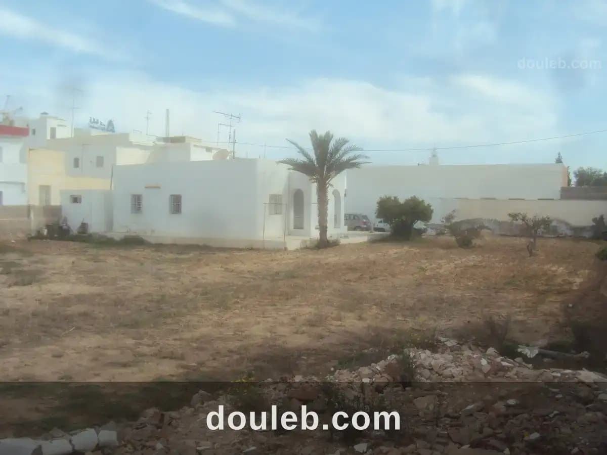 Terrain 1430 m2 route el ain km 2 - Miniature 3