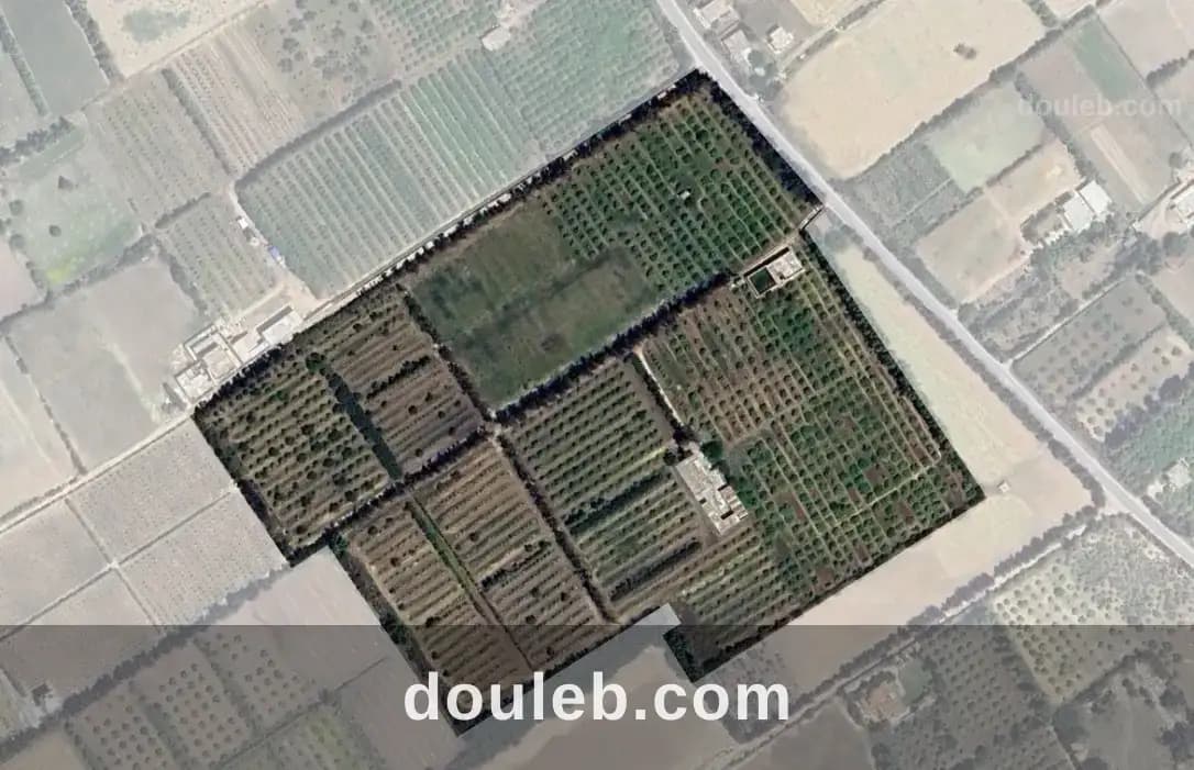 Senia 8 hectares slimene à Nabeul
