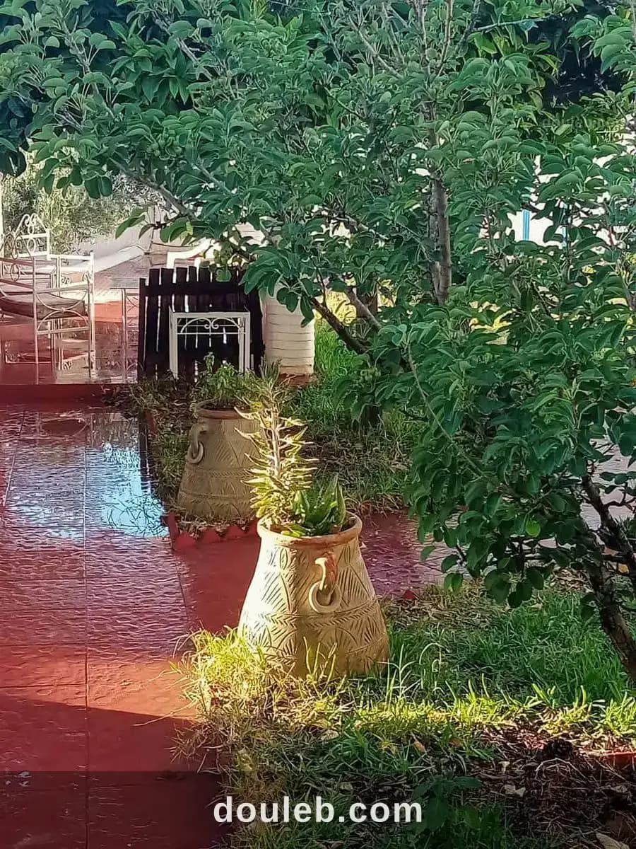 Belle villa style arabe avec grand jardin à rafraf à Bizerte