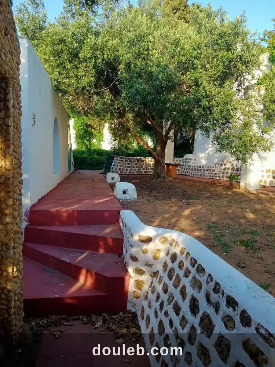 Belle villa style arabe avec grand jardin à rafraf - Miniature 4