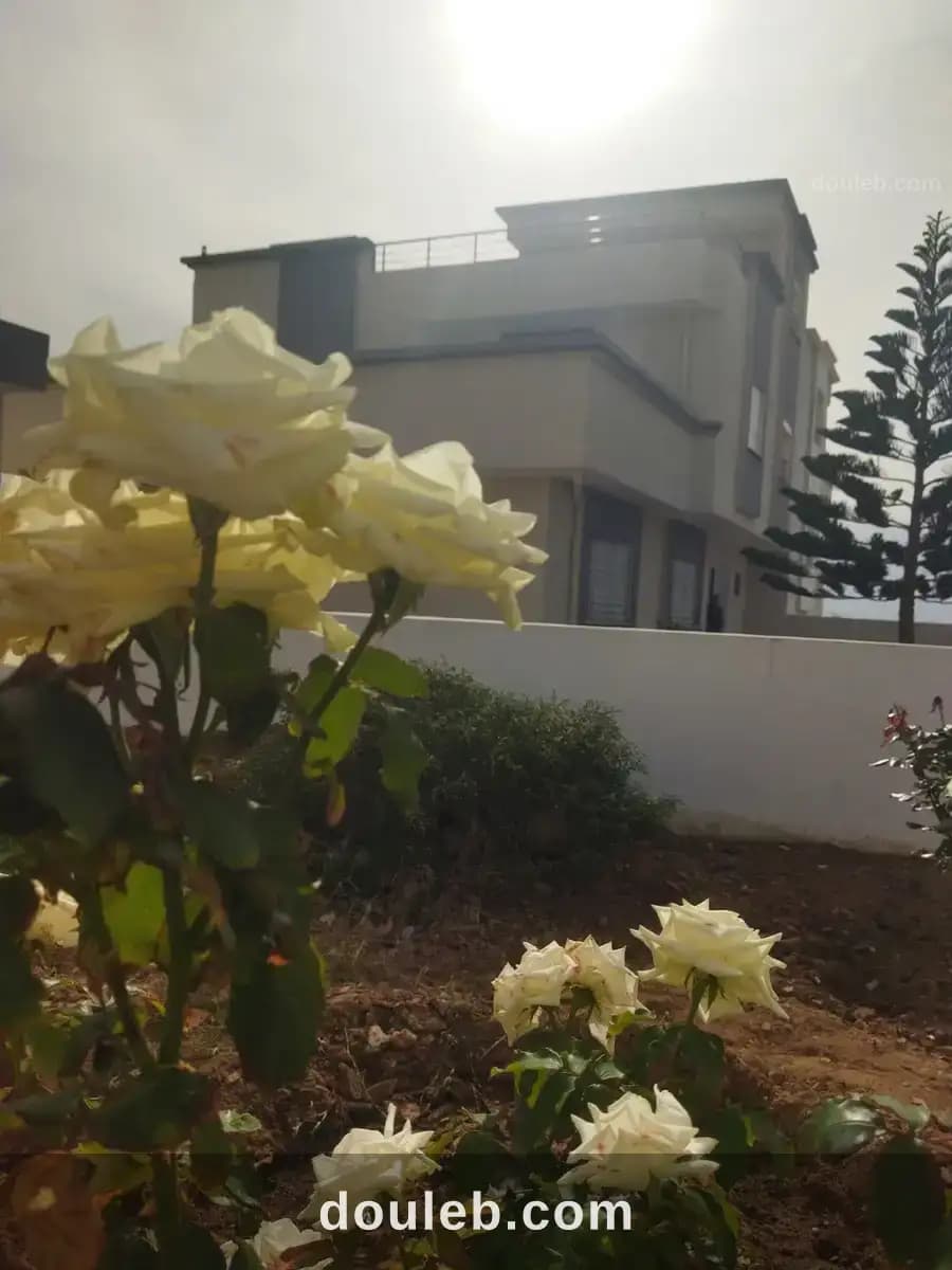 Villa luxueuse s4 et de vue panoramique à Nabeul