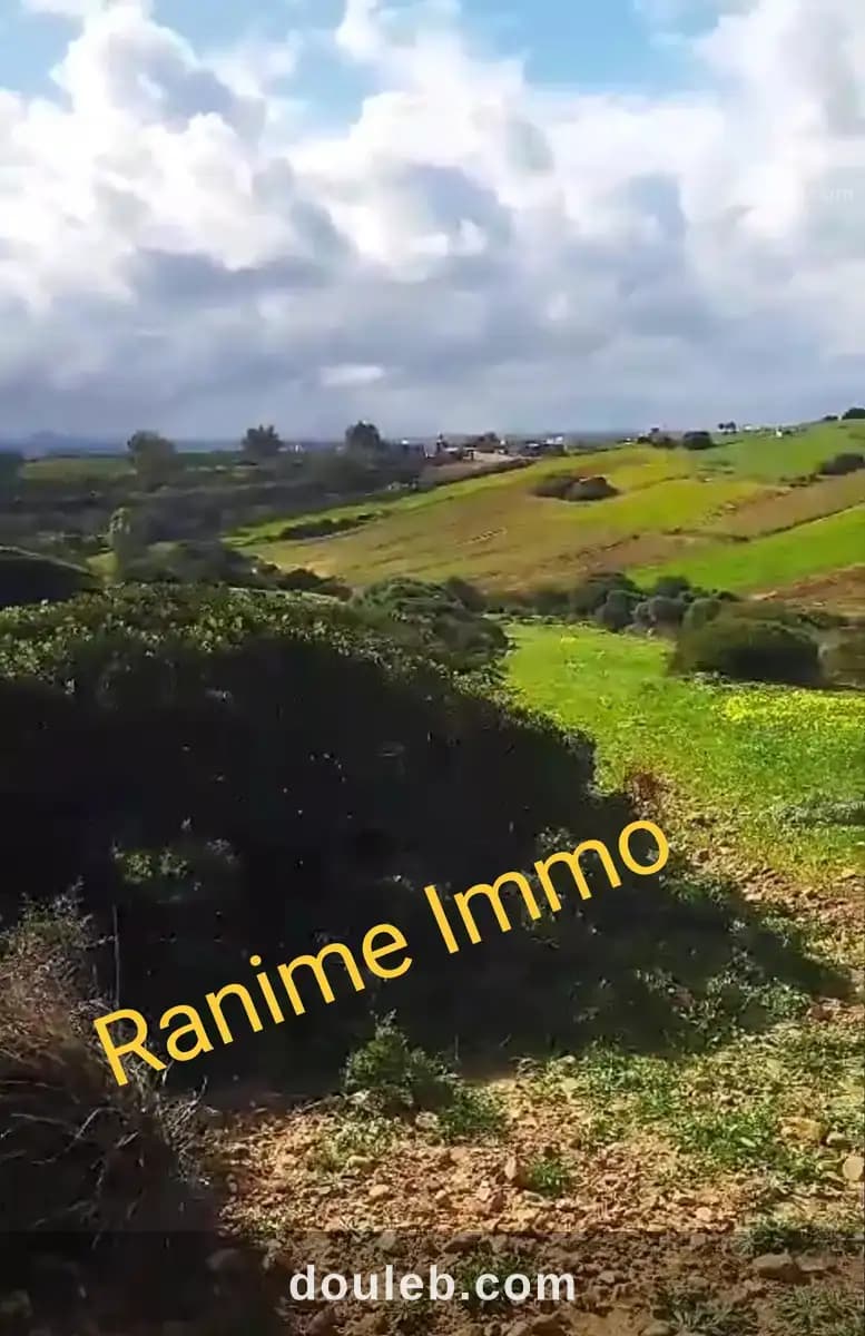 Terrain de 3740m2 a la plage el haouaria à Nabeul
