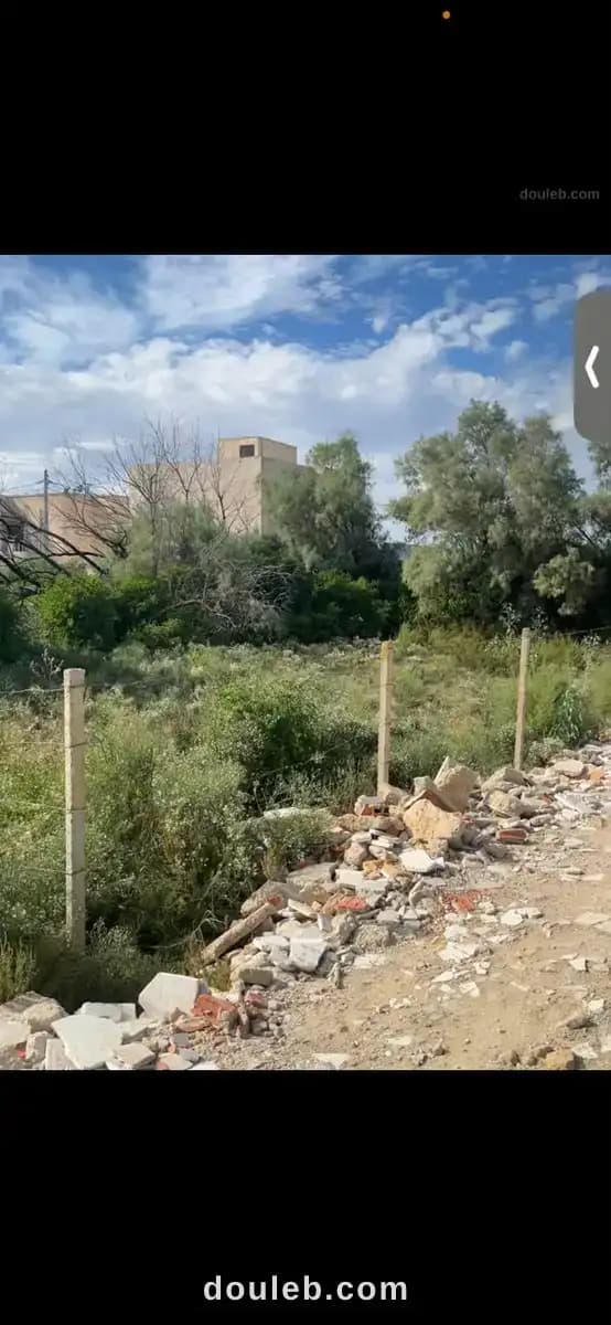 Un terrain 355m à soukra sidi frej - Miniature 3