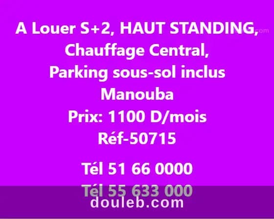 S2 haut standing avce pla à Manouba
