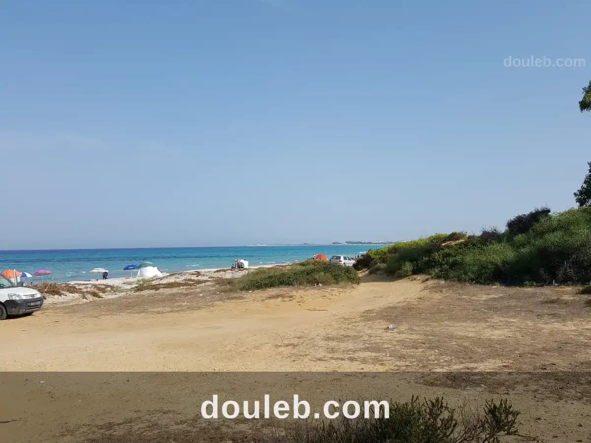 Occasion de 5 hectare au cap bon à Nabeul